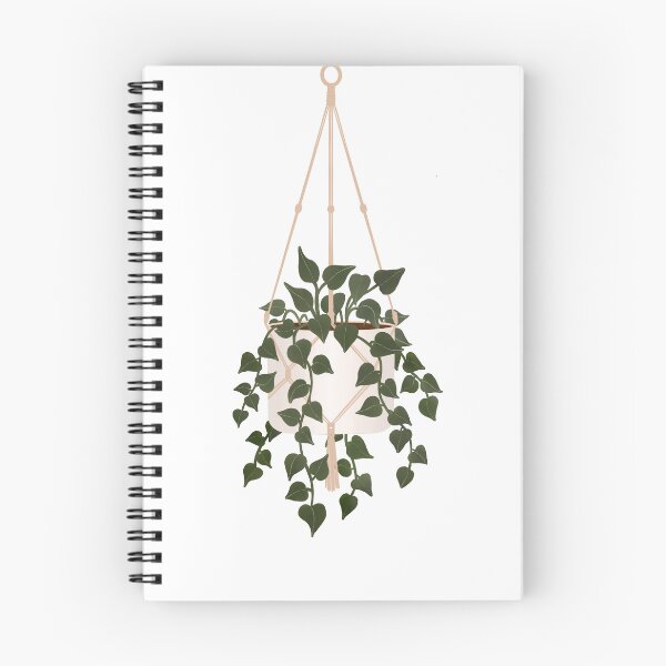 Item preview, Hanging Pothos House Plant designed and sold by StoneyPointRoad.