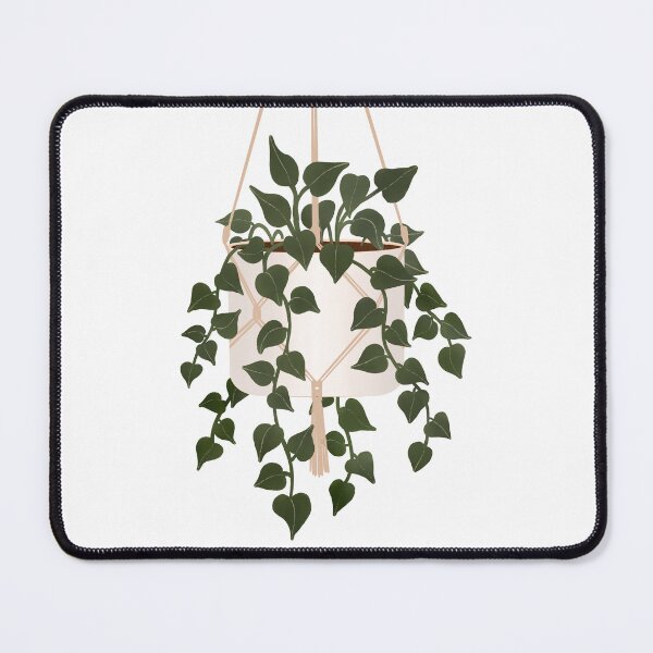 Item preview, Hanging Pothos House Plant designed and sold by StoneyPointRoad.