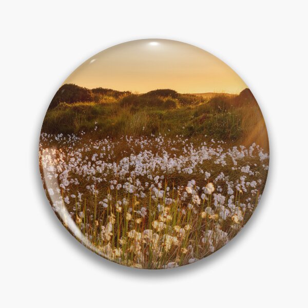 Item preview, Cotton Grass on Cefn Bryn, Gower designed and sold by Dan Santillo.