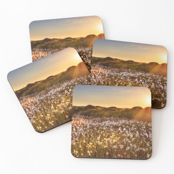 Item preview, Cotton Grass on Cefn Bryn, Gower designed and sold by Dan Santillo.