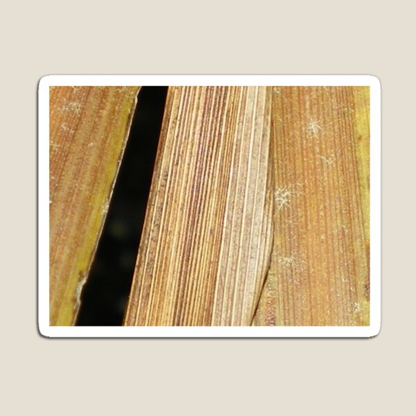 Item preview, Black Stripe designed and sold by Rebekah  McLeod.