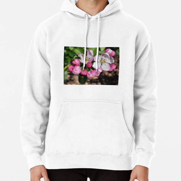 Apple blossom hoodie best sale