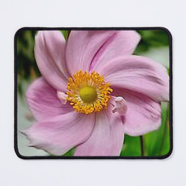 Item preview, Pink in a Spin designed and sold by SDC Original Designs.