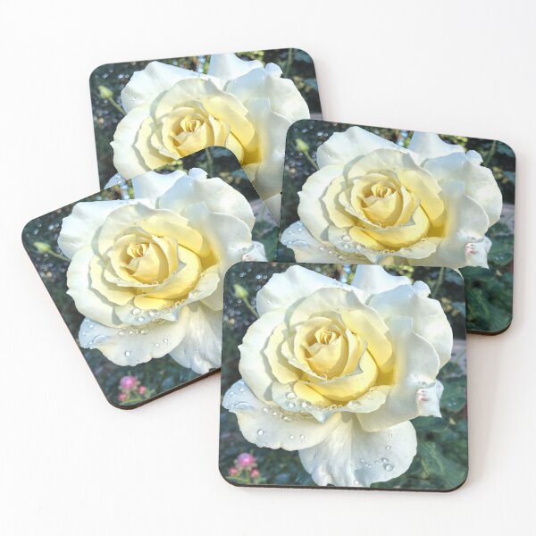 Item preview, Rose designed and sold by Murray Swift.