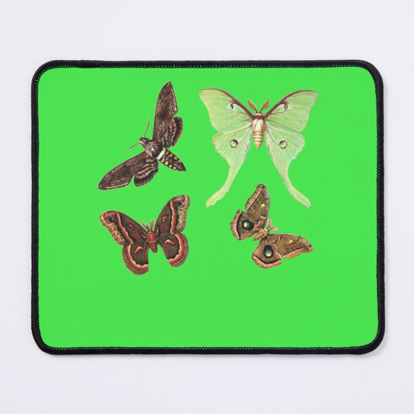 Item preview, Moths Collection No.2 - Sticker Pack designed and sold by SimonHesse.