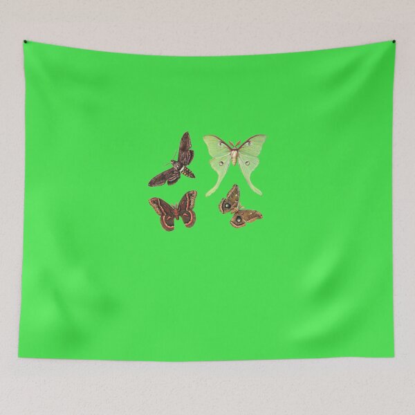 Item preview, Moths Collection No.2 - Sticker Pack designed and sold by SimonHesse.