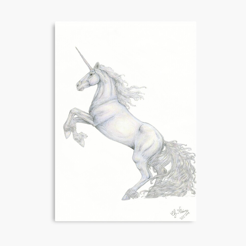 Euquo: Forsaken Unicorn by ~paleWOLF on deviantART | Unicorn, Unicorn and  glitter, Irish horse