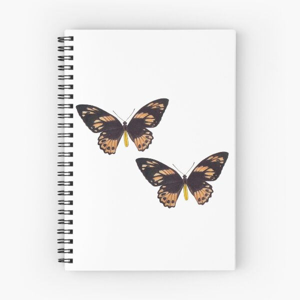 Item preview, Butterflies - new guinea birdwings designed and sold by LittleRedChucks.
