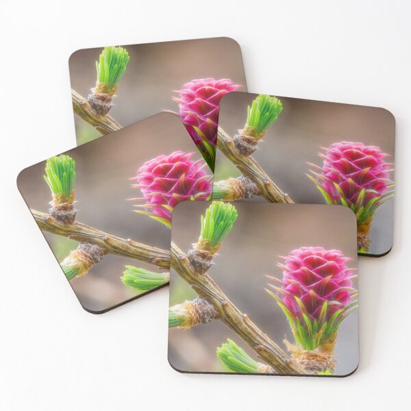 Item preview, New growth designed and sold by Veikko  Suikkanen.