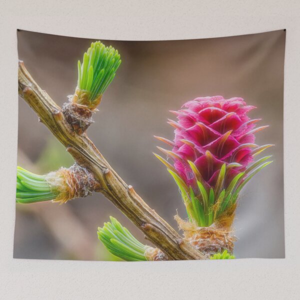 Item preview, New growth designed and sold by Veikko  Suikkanen.