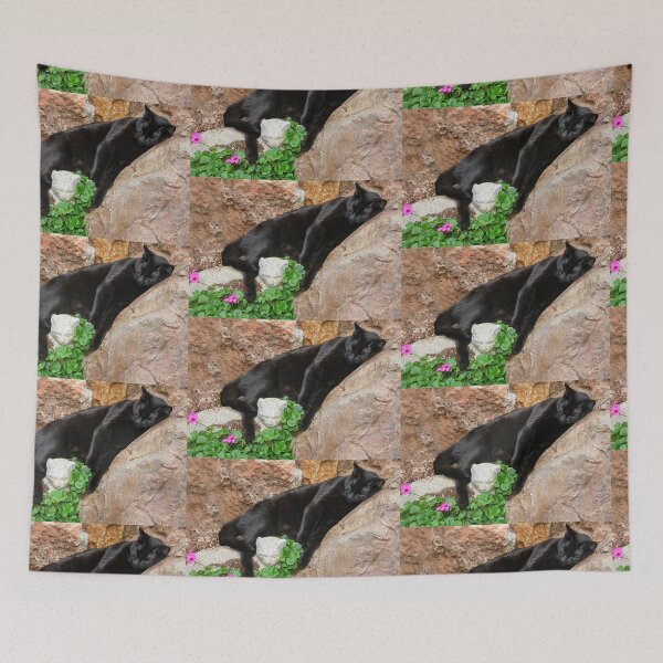 Item preview, Suki On the Rocks! designed and sold by heatherfriedman.