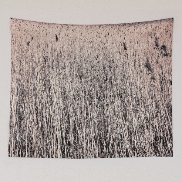 Item preview, Reeds designed and sold by boogeyman.