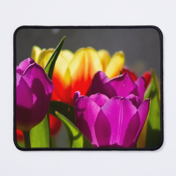 Item preview, Tulip flowers catching the summer sun designed and sold by HalcyonPrints.