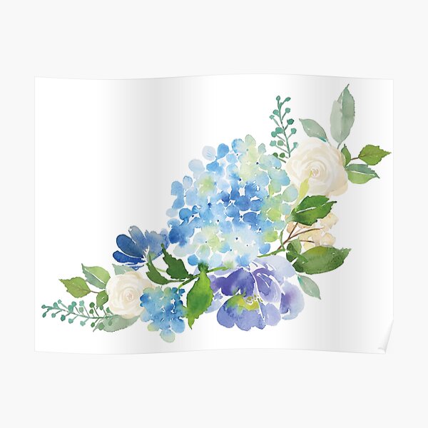 Blue Watercolor Hydrangea Poster