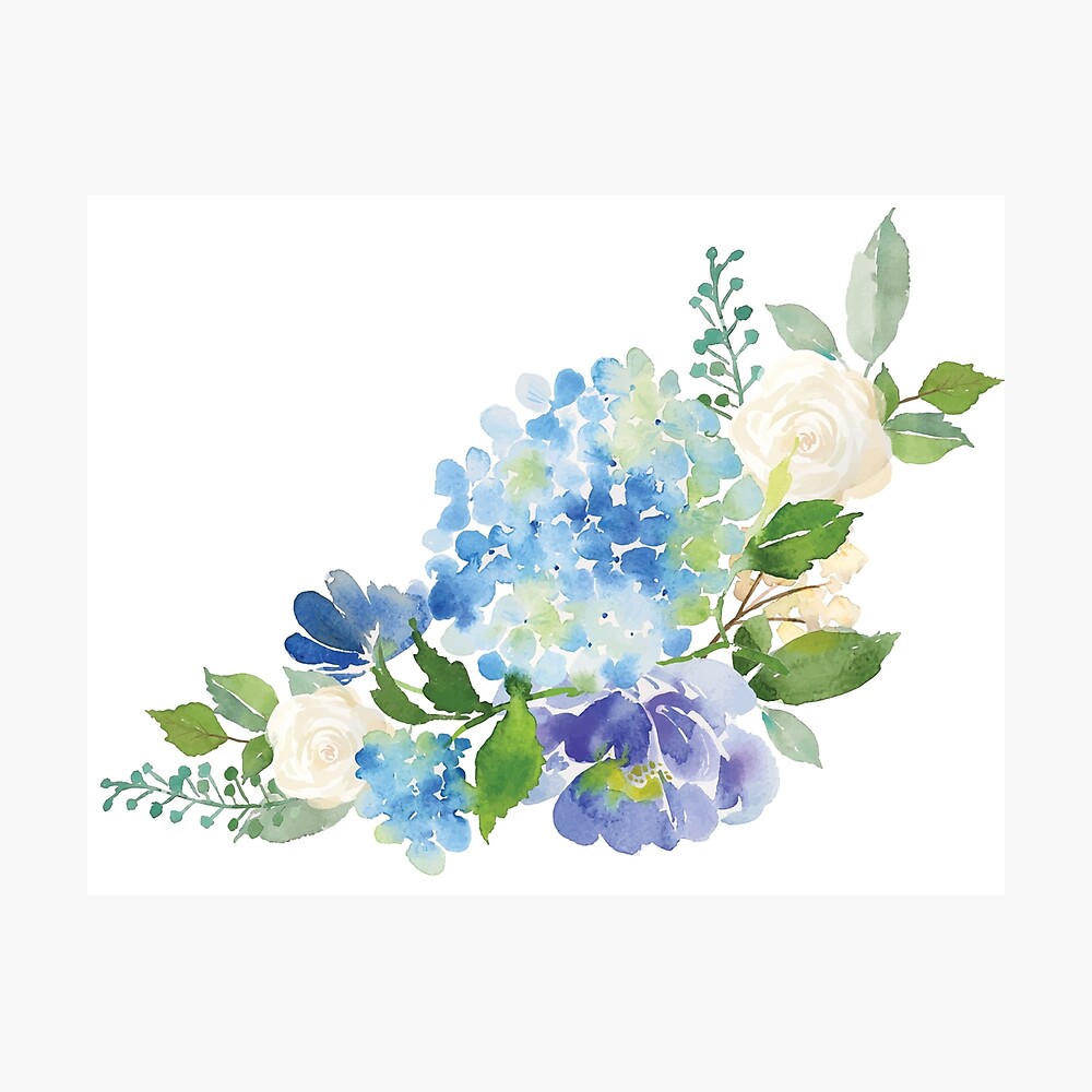 Blue Watercolor Hydrangea