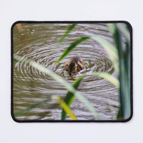 Item preview, spring duckling designed and sold by Perggals© - Stacey Turner.
