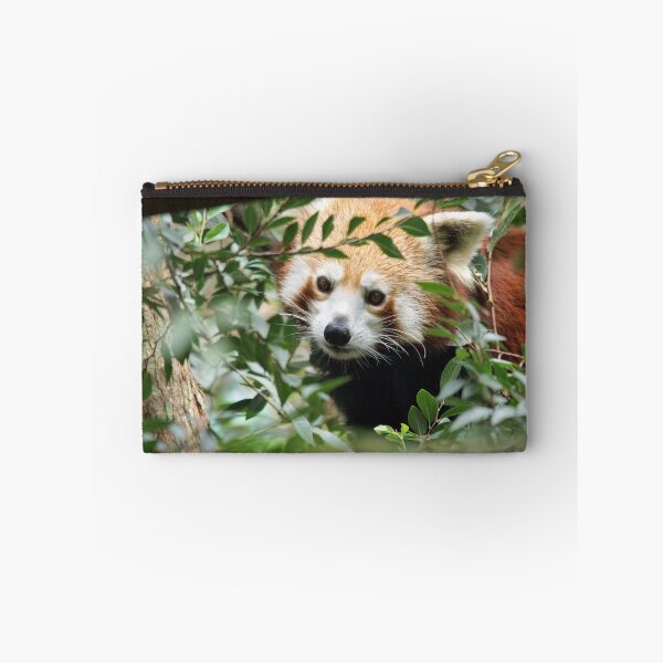 Item preview, Red Panda designed and sold by cs-cookie.