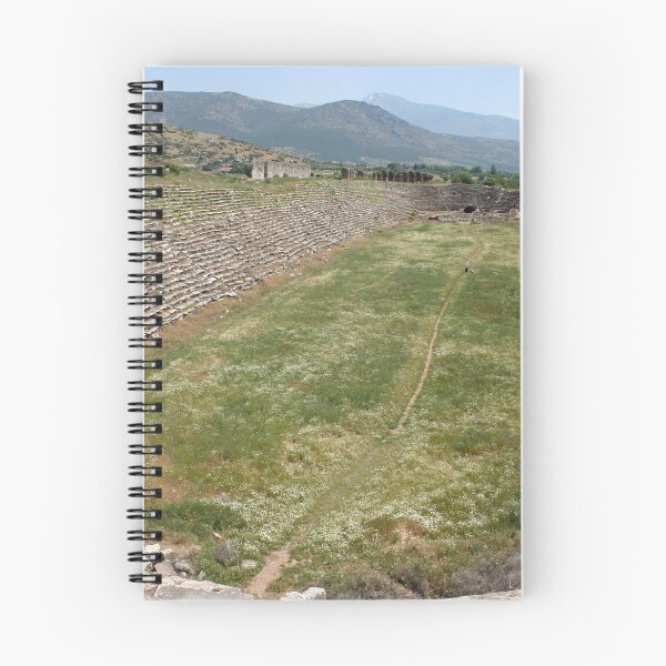 Item preview, Track and Field - Stadium Aphrodisias Turkiye designed and sold by taiche.