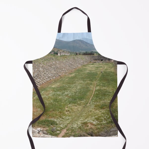 Item preview, Track and Field - Stadium Aphrodisias Turkiye designed and sold by taiche.
