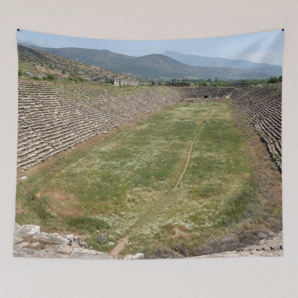 Item preview, Track and Field - Stadium Aphrodisias Turkiye designed and sold by taiche.