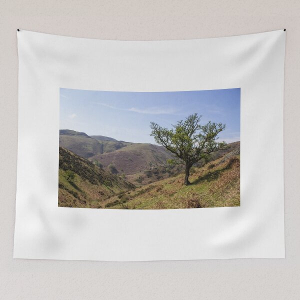 Item preview, View of carding mill valley and the Longmynd Shropshire, April 2022 designed and sold by HalcyonPrints.