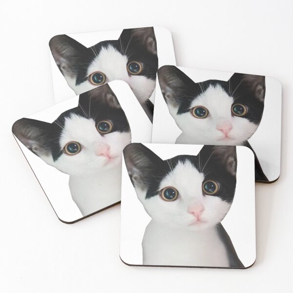 Item preview, Cute Funny cat (Funny) designed and sold by Designer Forever ⭐⭐⭐⭐⭐.
