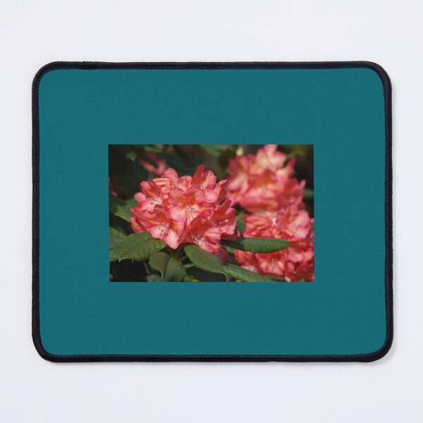 Item preview, Apricot Rhodo   designed and sold by eranesbeataraun.