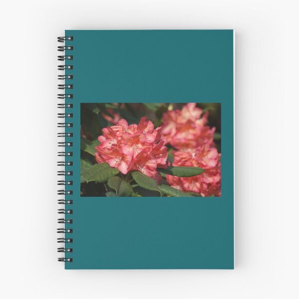 Item preview, Apricot Rhodo   designed and sold by eranesbeataraun.