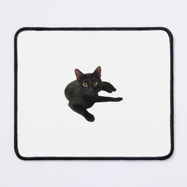 Item preview, Beautiful Funny cat (Funny)(black) designed and sold by Designer Forever ⭐⭐⭐⭐⭐.