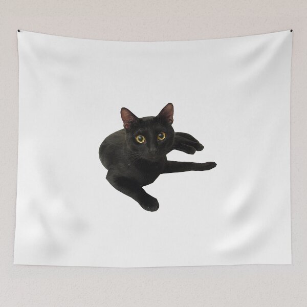 Item preview, Beautiful  Funny cat (Funny)(black) designed and sold by Designer Forever ⭐⭐⭐⭐⭐.