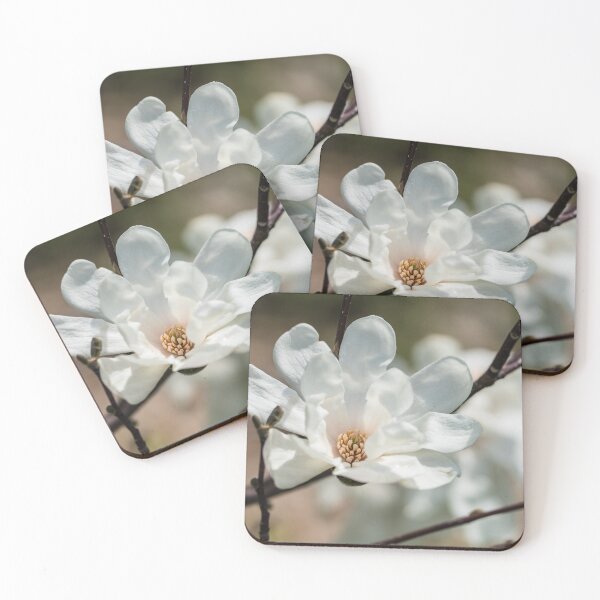 Item preview, Dr Merrill Loebner Magnolia Flower designed and sold by mljdwhite.