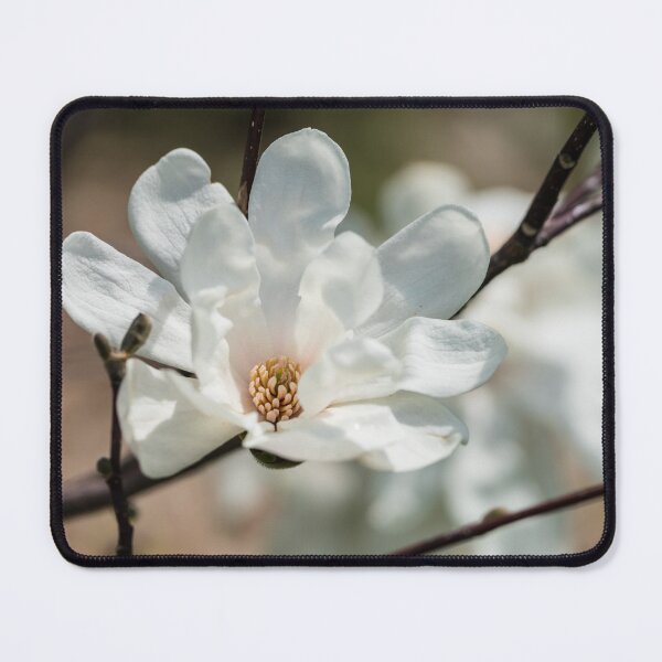Item preview, Dr Merrill Loebner Magnolia Flower designed and sold by mljdwhite.