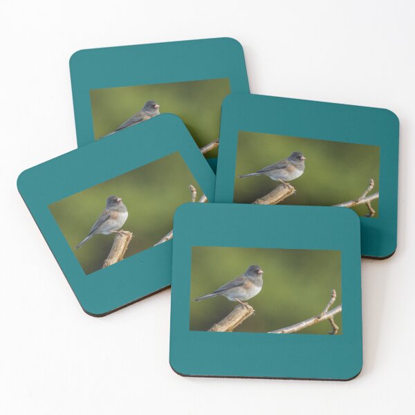 Item preview, DARK-EYED JUNCO   designed and sold by eranesbeataraun.