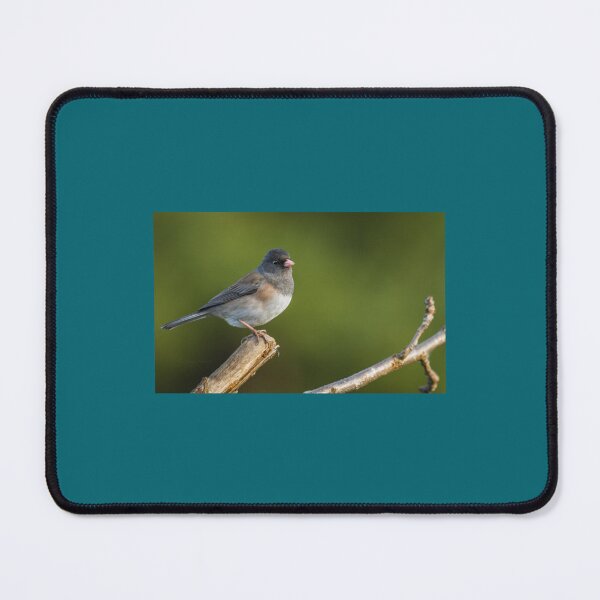 Item preview, DARK-EYED JUNCO   designed and sold by eranesbeataraun.