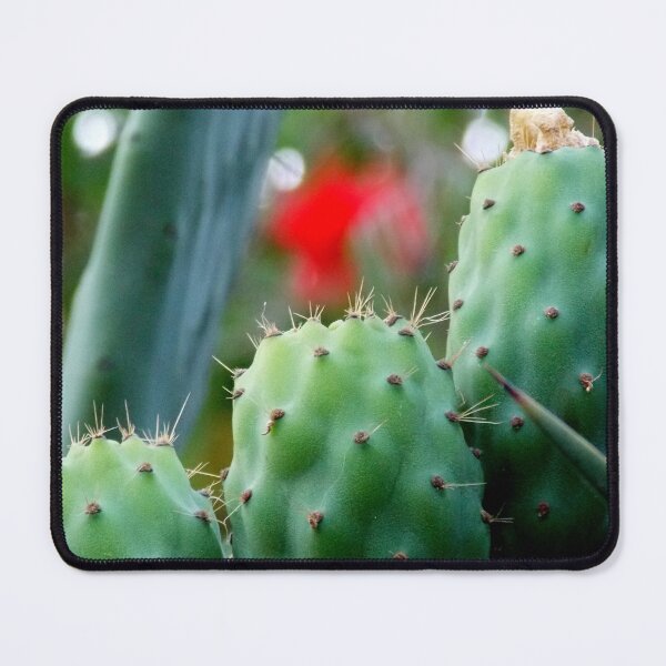 Item preview, Cacti Close-up , Prickly Pear Cactus, Closeup View of Green Cacti Leaves  designed and sold by branaghbel.