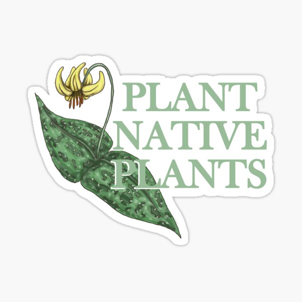 Native Plants Stickers for Sale Redbubble picture