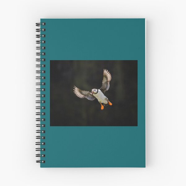 Item preview, Puffin   designed and sold by eranesbeataraun.