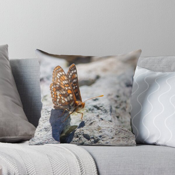 Item preview, A Butterfly Alights on a Rock designed and sold by journeysincolor.