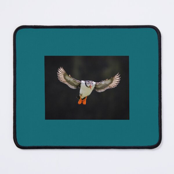 Item preview, Puffin Landing designed and sold by eranesbeataraun.