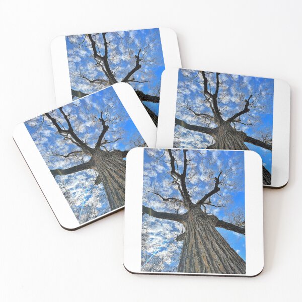 Item preview, Trees designed and sold by Matthew Carroll.