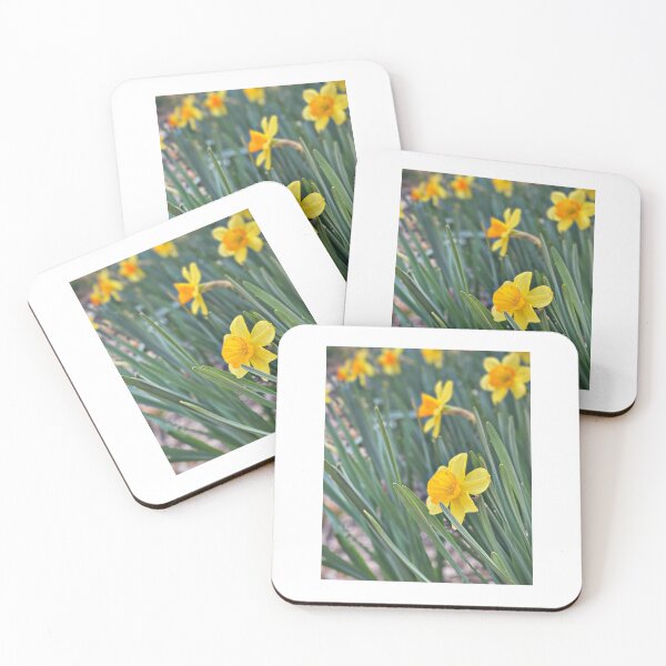 Item preview, Flowers designed and sold by Matthew Carroll.