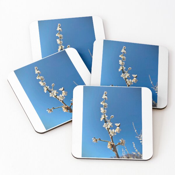 Item preview, Flowers designed and sold by Matthew Carroll.