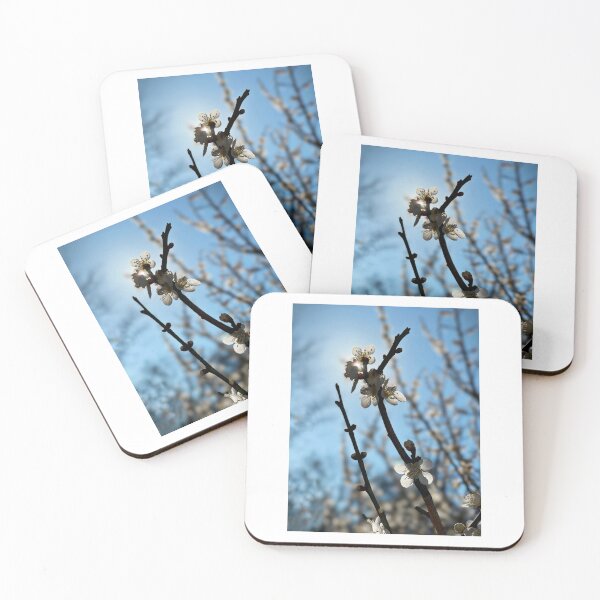 Item preview, Flowers designed and sold by Matthew Carroll.