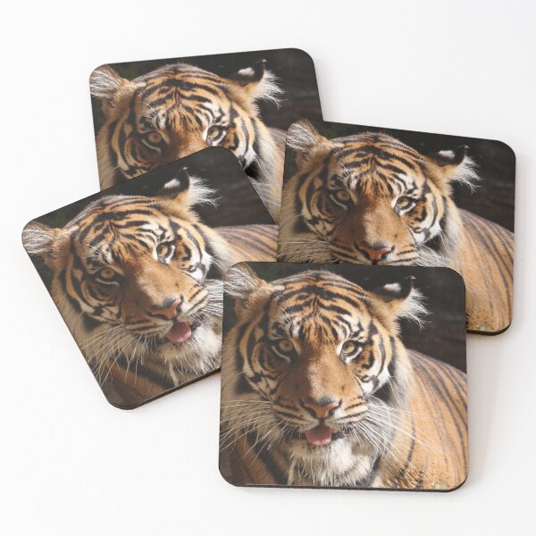 Item preview, Tigre designed and sold by MelKowasic.