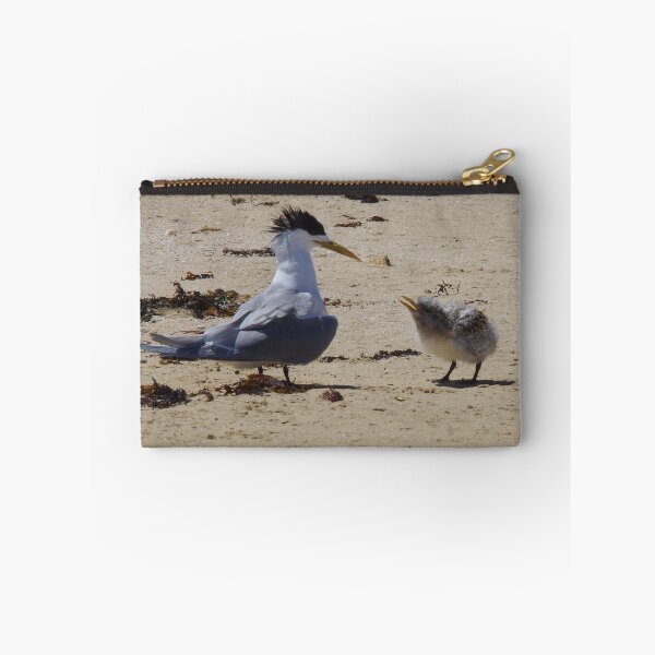Item preview, Greater Crested Tern and Chick designed and sold by lezvee.