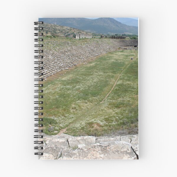 Item preview, View of Aphrodisias Stadium From The West designed and sold by taiche.