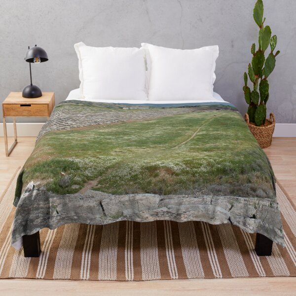 Item preview, View of Aphrodisias Stadium From The West designed and sold by taiche.