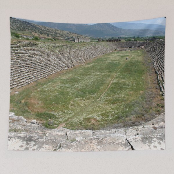 Item preview, View of Aphrodisias Stadium From The West designed and sold by taiche.