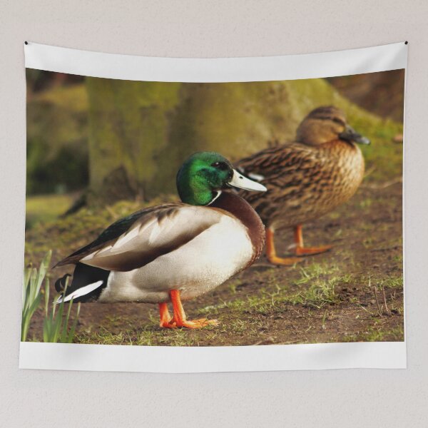 Item preview, Mallard Ducks designed and sold by AnnDixon.