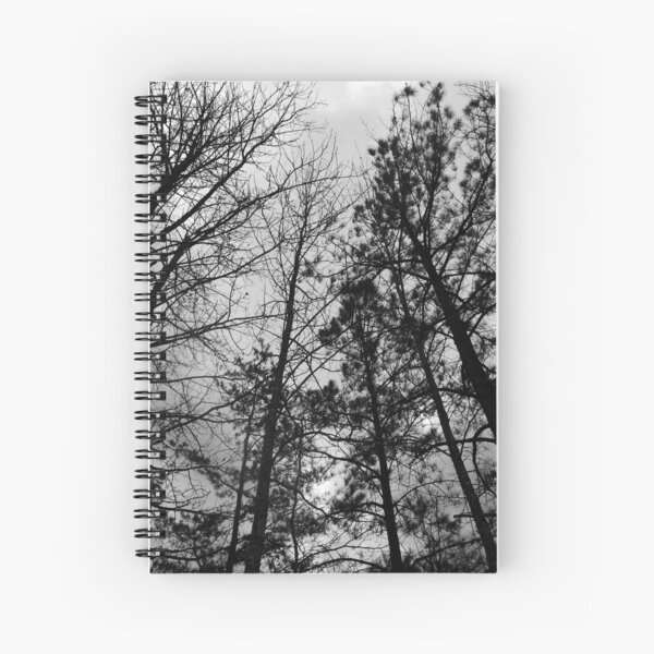 Carving Shadows into an Anemic Sky Spiral Notebook